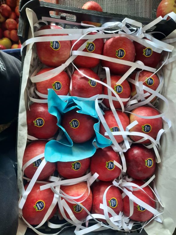 iranian apple fruit ,iran apple fruit exporters,iran apple price in iran,apple fruit price in iran,iran apple farm,iran apple production,iran apple price in pakistan,red apple iran,mttg group