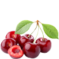 Cherry , Cherry export iran , Cherry export