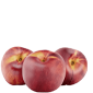 nectrine , nectrine export , nectrine export iran , mttg , mttg group