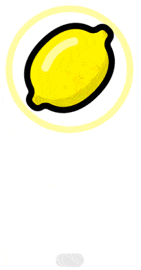 mttg about , export fruit iran , export iran , fruit iran